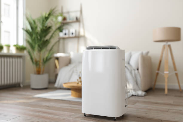 Best Air Filters and Purifiers in East Brooklyn, CT